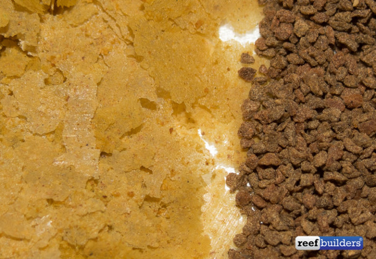 Handson with Piscine Energetics PE Flakes & PE Pellets Reef Builders