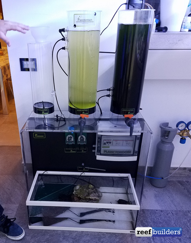 The automated zooplankton reactor