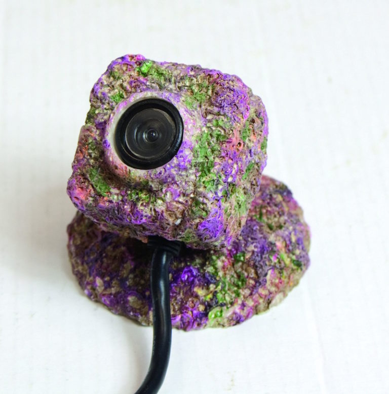 REEFCam Is A Live Streaming Underwater Camera For Your Aquarium Reef