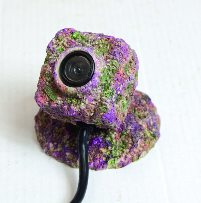 REEFCam Is A Live Streaming Underwater Camera For Your Aquarium Reef