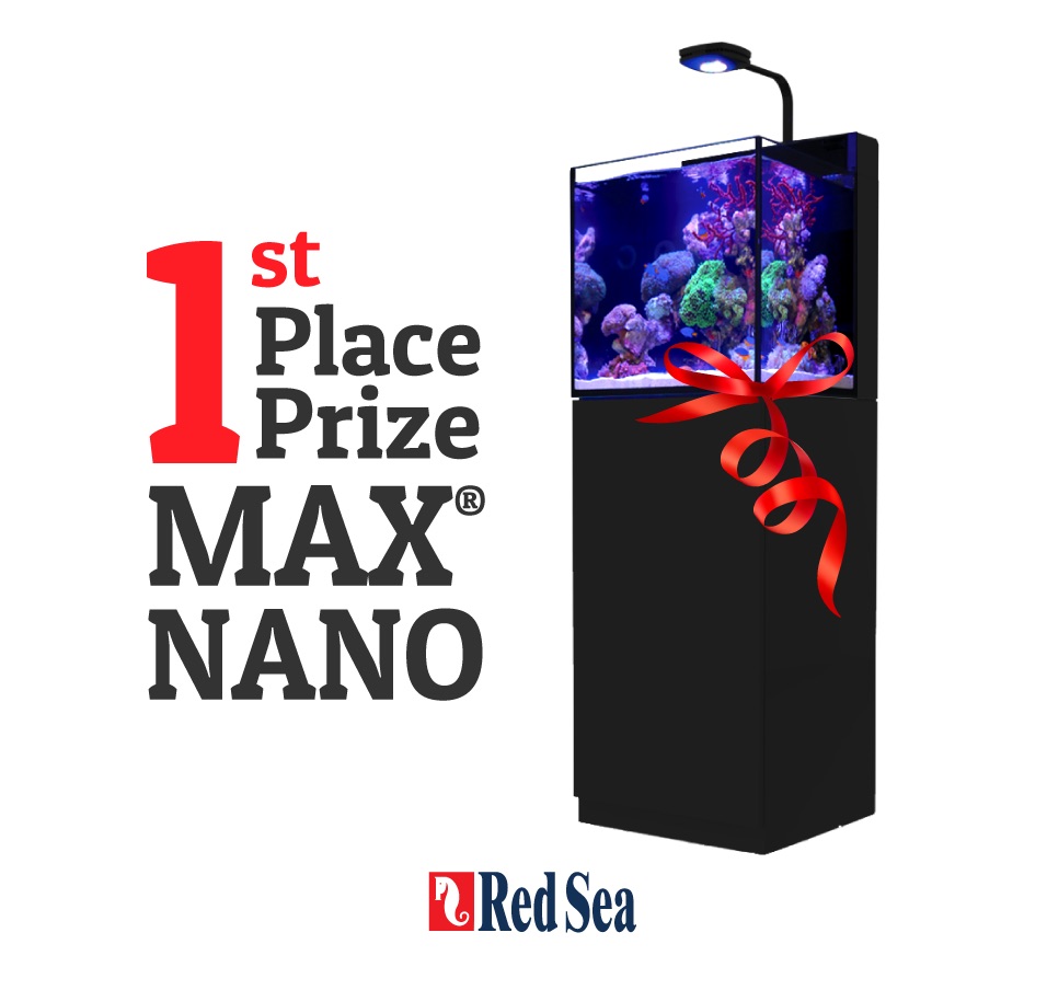 red-sea-max-nano-1st