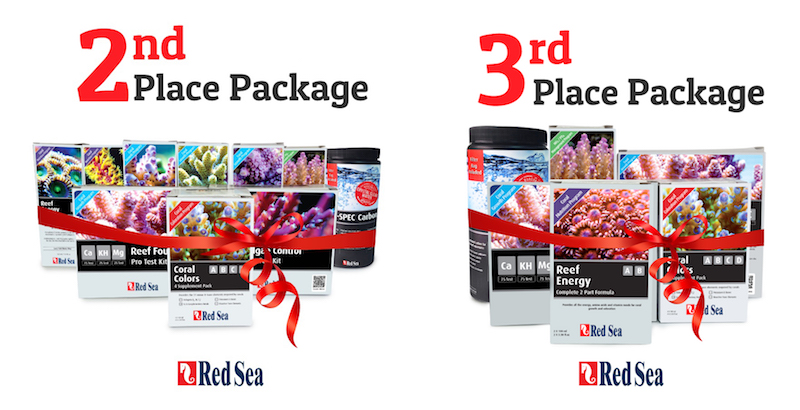 red-sea-max-nano-prizes