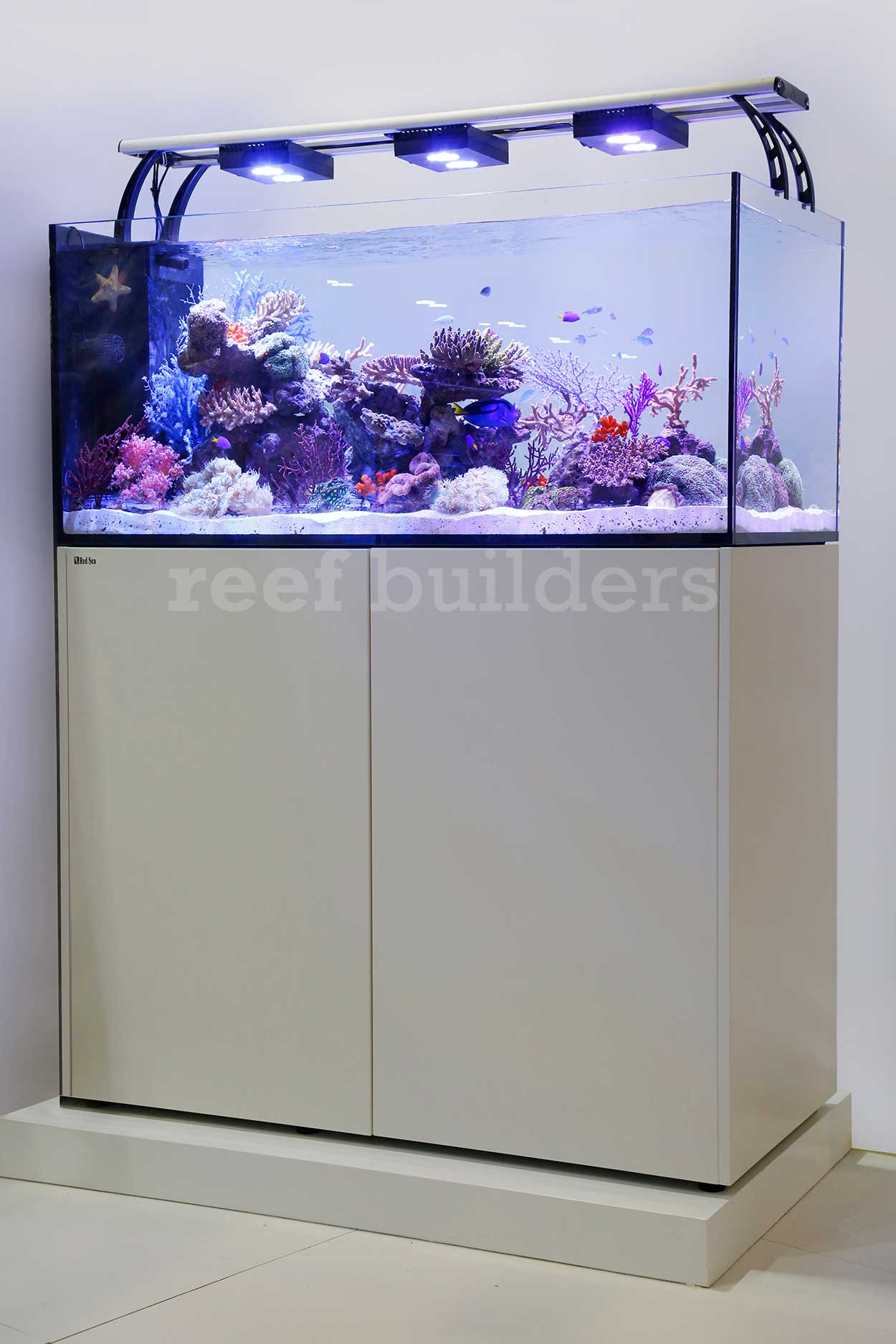 pakke Appel til at være attraktiv udeladt Red Sea's new Reefer Peninsula coming early next year | Reef Builders | The  Reef and Saltwater Aquarium Blog