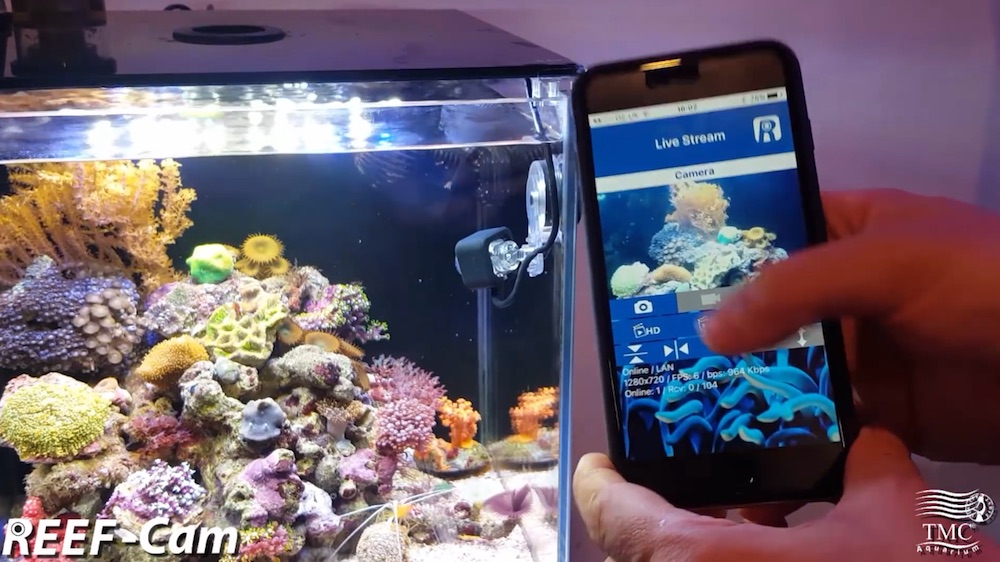REEF-Cam Is A Live Streaming Underwater Camera For Your Aquarium.