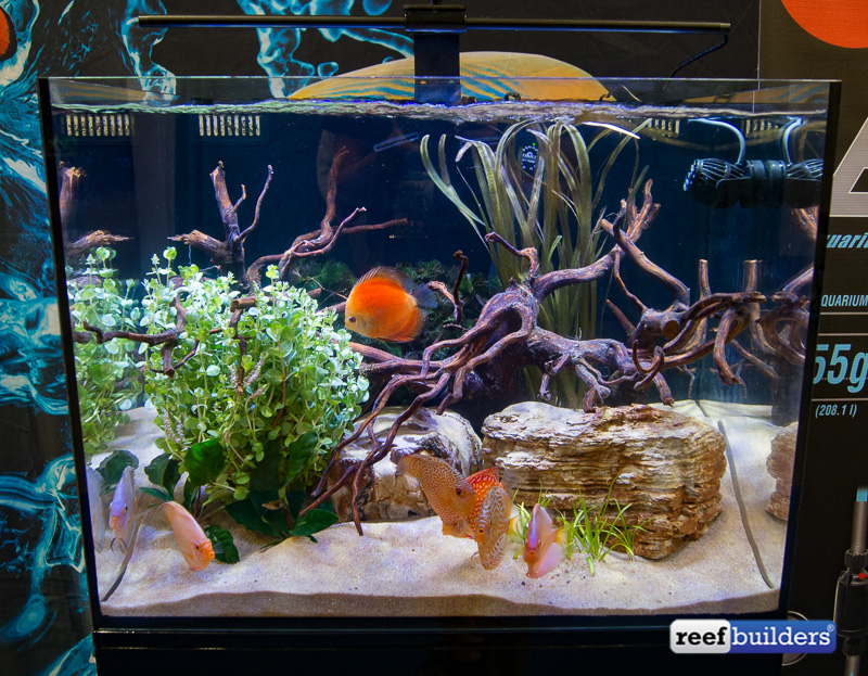 c-view-aquariums-cobat-aquatics-3