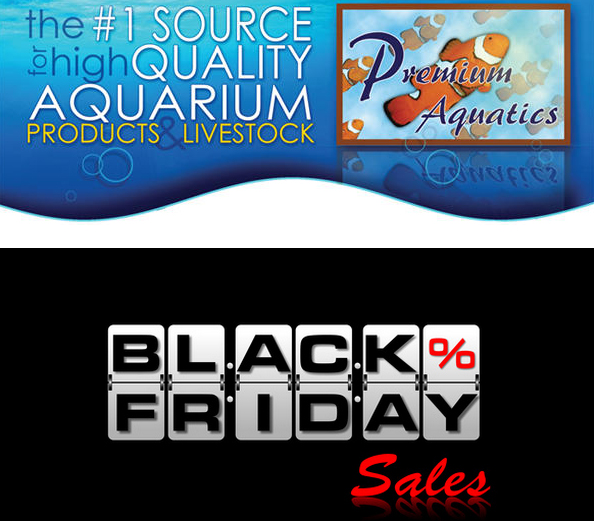 black friday aquarium