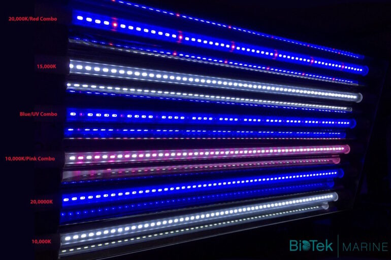 B5ho New Led Replacement For T5 Tubes From Biotek Marine Reef Builders The Reef And Saltwater Aquarium Blog