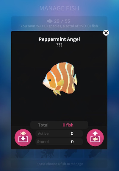peppermint-angelfish
