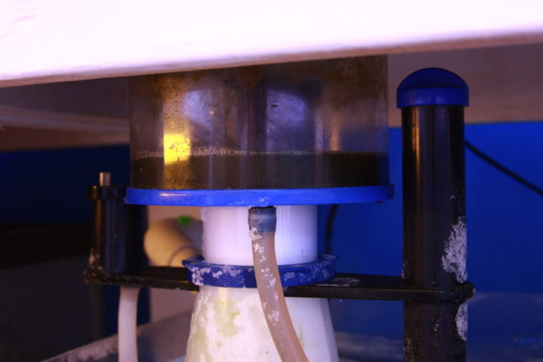 Simple tips to keep your protein skimmer nice and clean Reef Builders