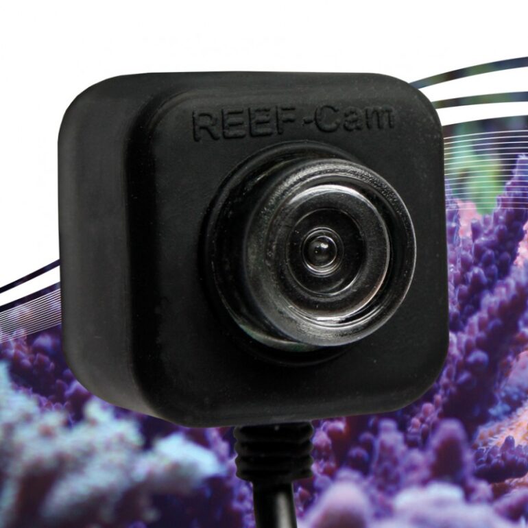 IceCap REEF-Cam gives you an underwater view of your tank.