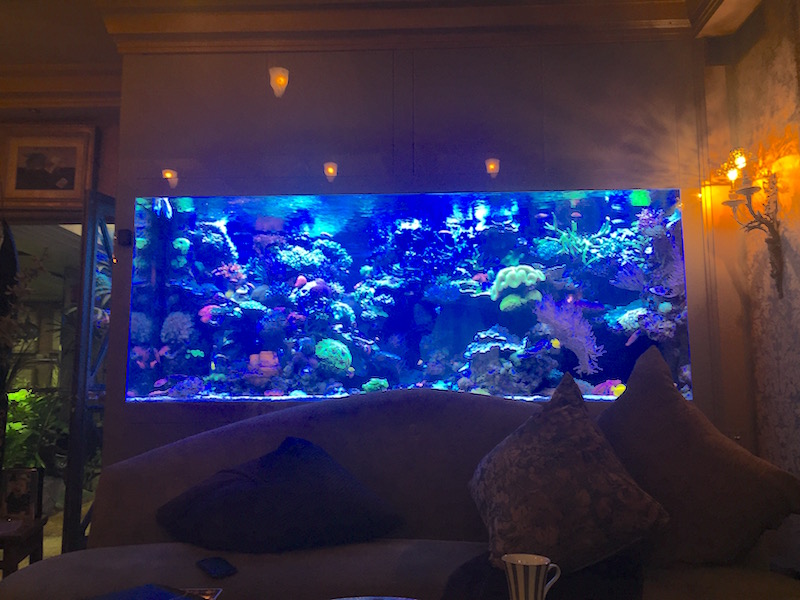 reef tank in living room
