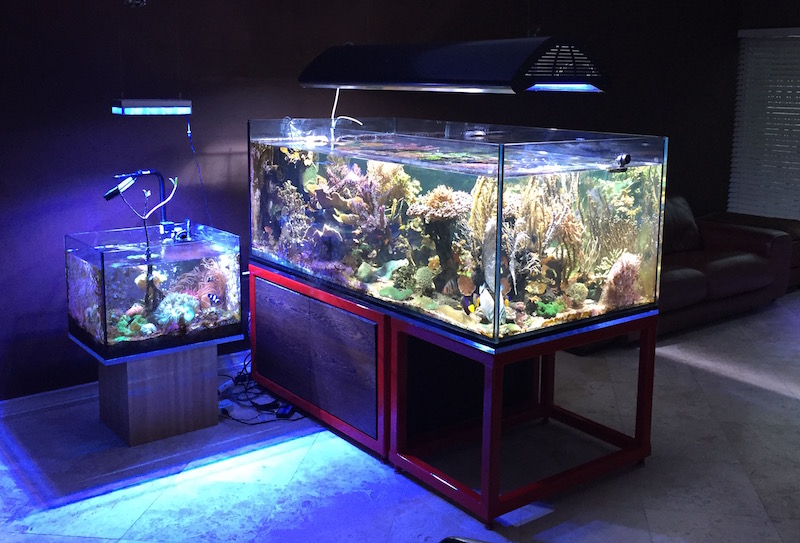 Fish tanks and store equipment