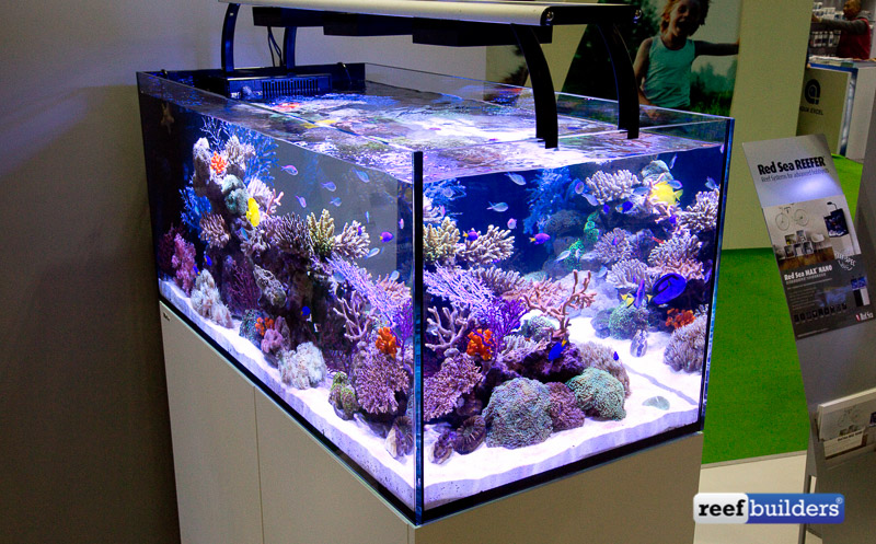 Red Sea Reefer Peninsula & XXL Models Coming This | Reef Builders | The Reef and Saltwater Aquarium Blog