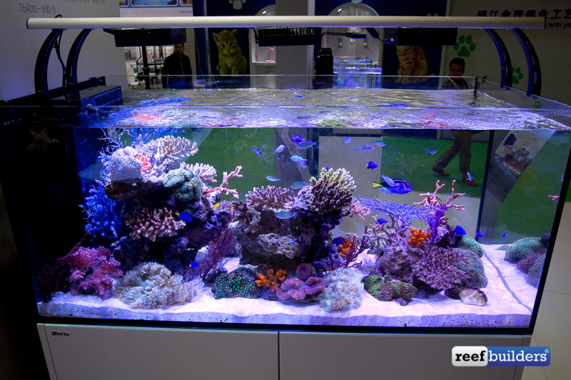 Red Sea Reefer Peninsula & XXL Models Coming This | Reef Builders | The Reef and Saltwater Aquarium Blog