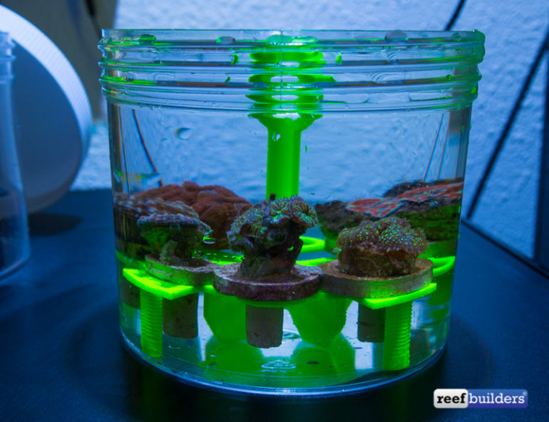 3D Printed Frag Carrier Is My Favorite New Reefing Accessory! Reef