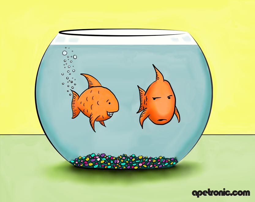 Do Fish Really Communicate By Farting? | Reef Builders | The Reef and  Saltwater Aquarium Blog