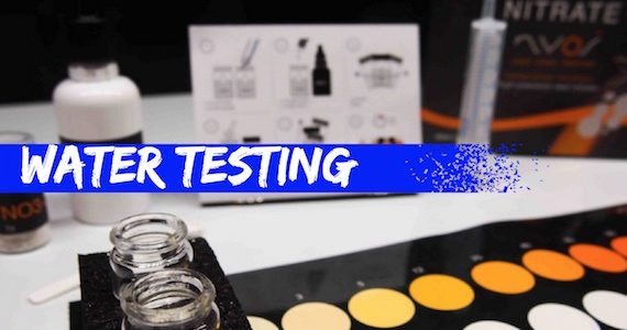 Image showcasing Maintaining A Super Easy Nano Reef Tank (Video) | Reef Builders | The ...