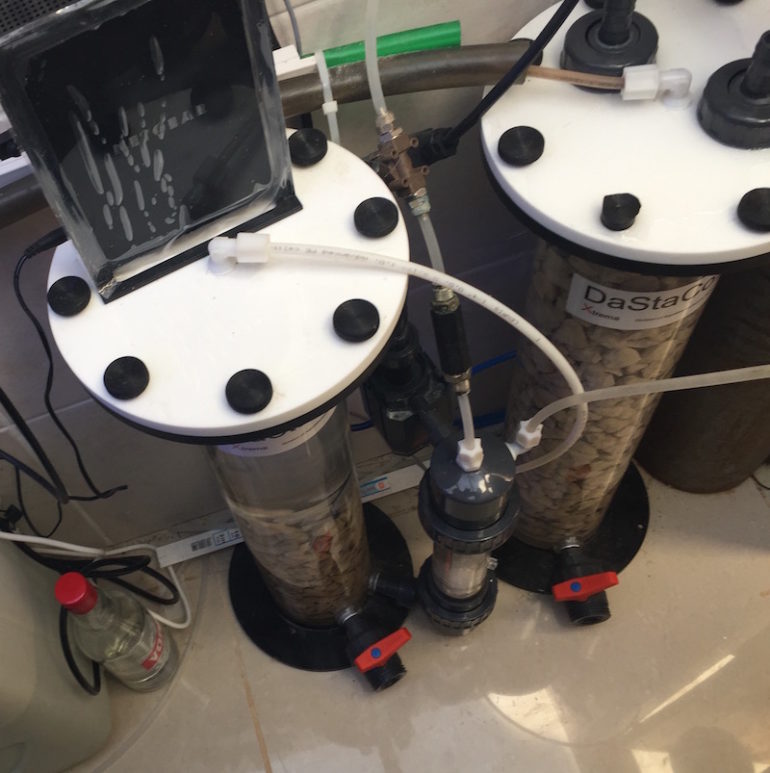 Picture of Taking Control Of Calcium, Alkalinity and Magnesium | Reef Builders ...
