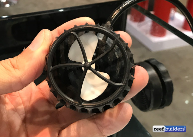 Cookeolus japonicus and Pristigenys niphonia are two of the coolest Big