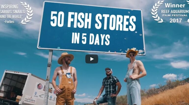 50 Fishstores Trip Tour 770x426 