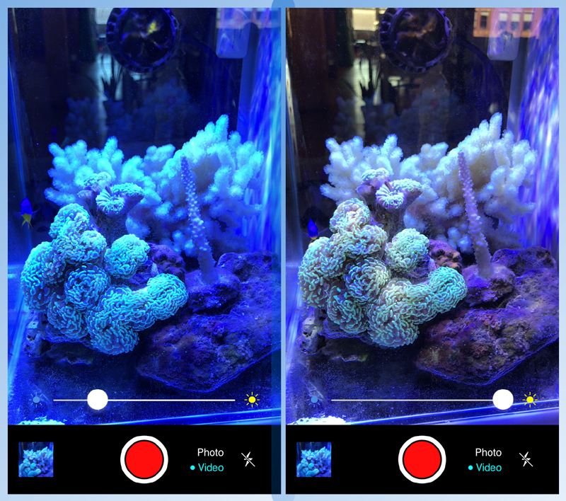 reef aquarium camera