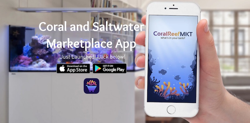 CoralReefMKT Officially Launches Comprehensive Aquariums Buy & Sell App ...