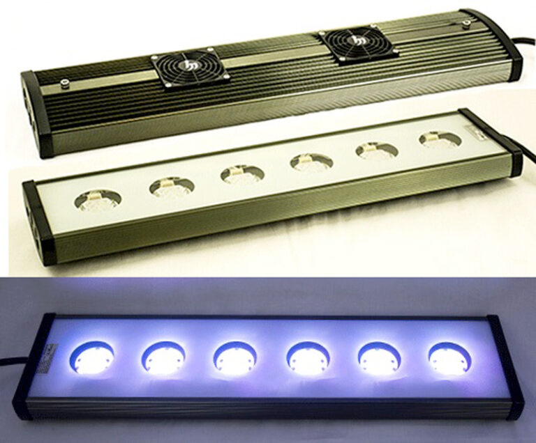 Illumagic Blaze X LEDs now available from Champion Lighting Reef