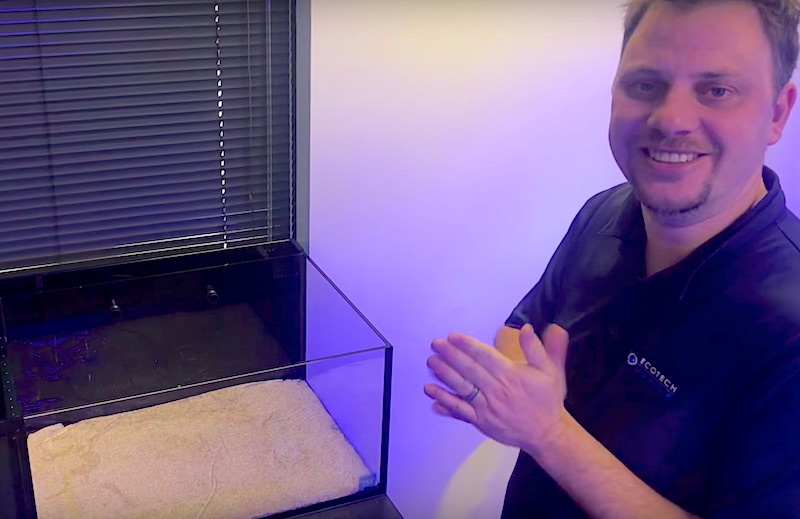 Get That Sandbed LOOK Without Having an Actual Sandbed Reef Builders