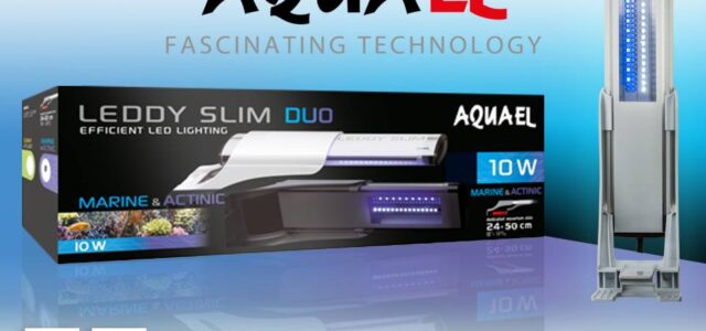Aquael LEDDY SLIM DUO marine and actinic LED