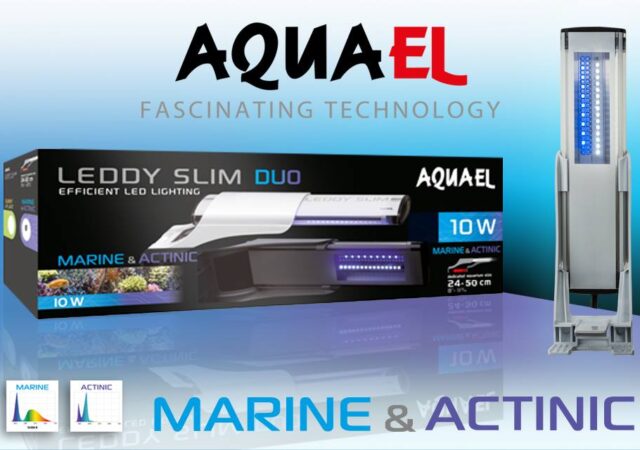 Aquael LEDDY SLIM DUO marine and actinic LED