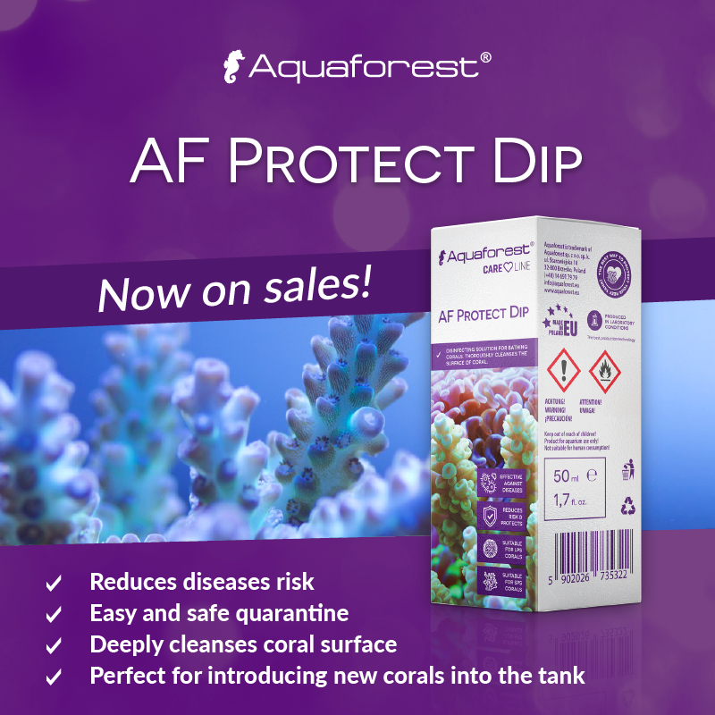Aquaforest’s new AF Protect Dip for treating your corals Reef