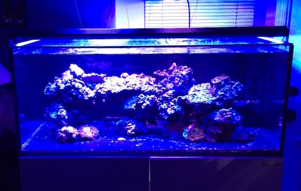 Aquarium Systems Start Your Tank Marine Water