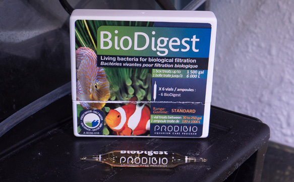 BioDigest PRO 10 (bactéries) de Prodibio