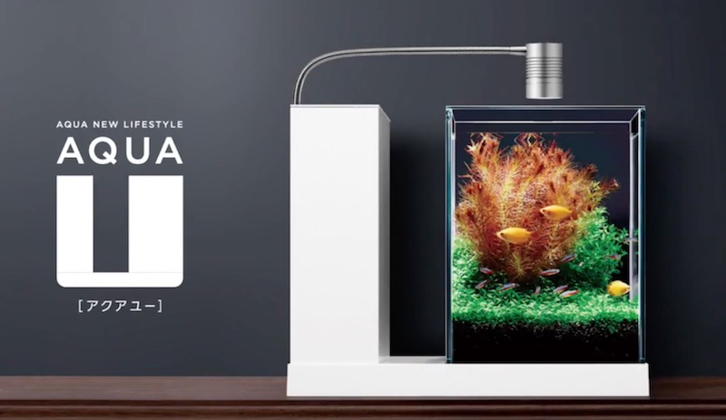 Aqua-U CF Powered Pico Aquarium by Gex | Reef Builders | The Reef