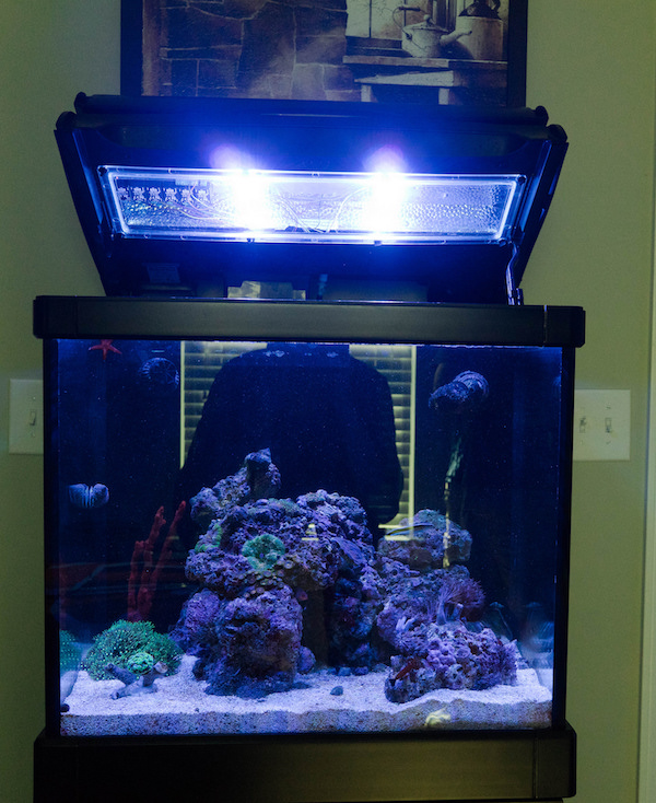 NanoBox Reef Retro kits Brings Together T5 LED Technology Reef