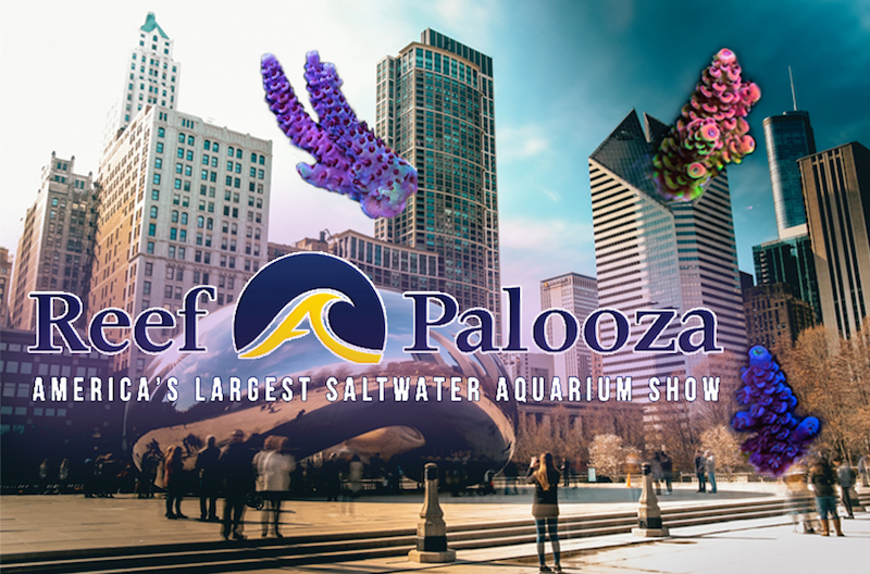 Reefapalooza - America's Largest Saltwater Aquarium Show