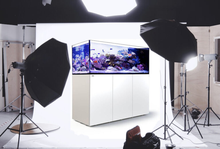 Announcing the Brand New Reef Builders Studio | Reef Builders | The ...