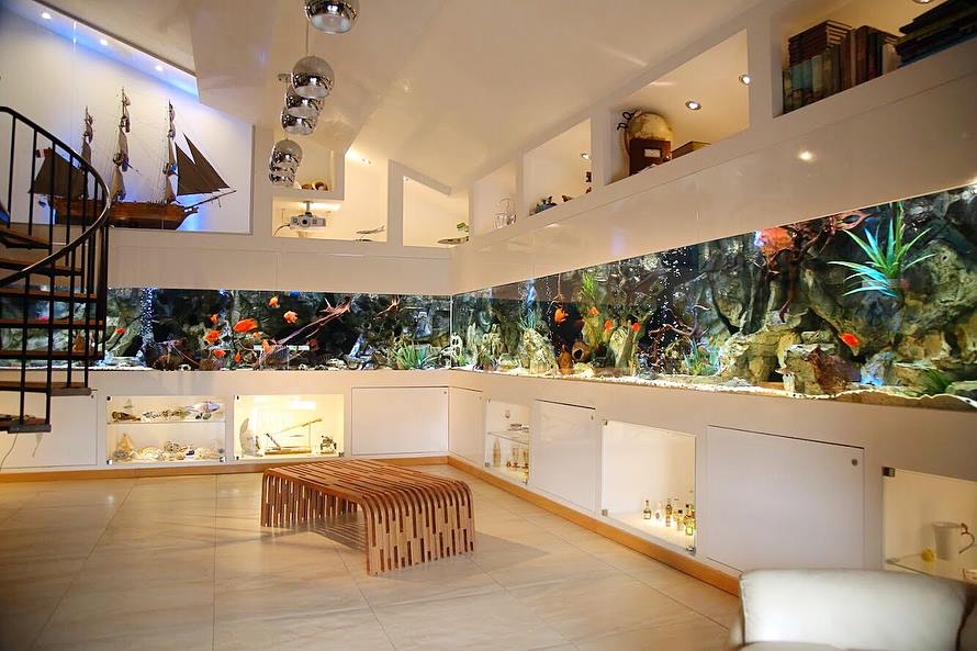 Amazing custom freshwater aquarium build with $94,000 pricetag