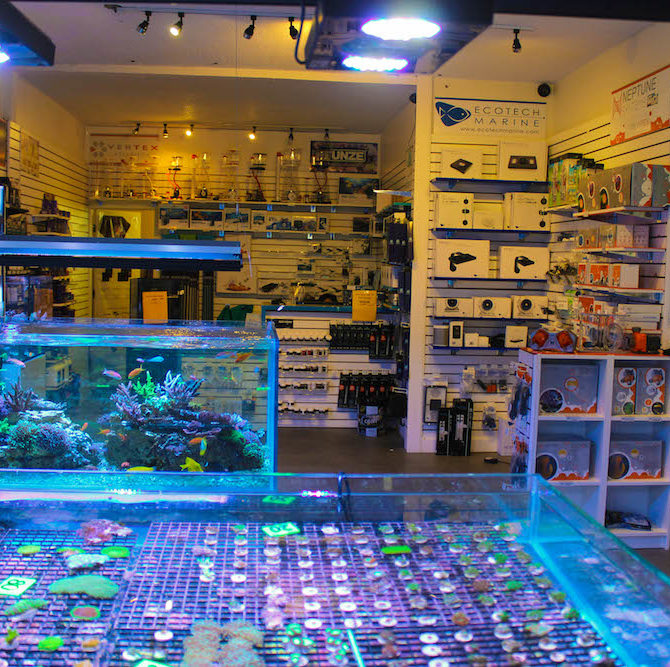Fragbox Corals Reef Aquarium Store in Toronto Canada Reef Builders