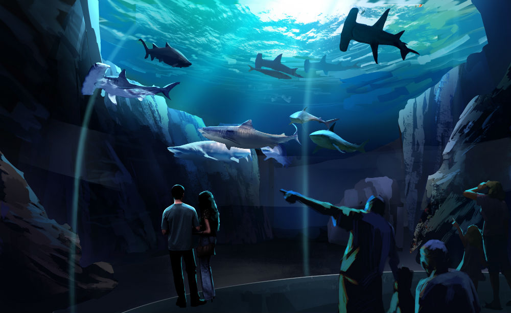 Aquarium breaks ground on 100 million expansion Reef
