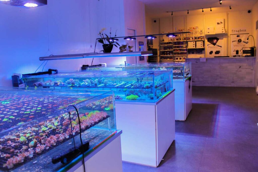 Fragbox Corals Reef Aquarium Store in Toronto Canada - Aquariumstore 1024x682