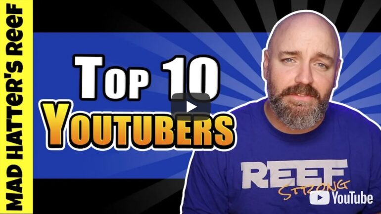 Top 10 Youtubers With A Reef Tank Mad Hatters Reef Reef