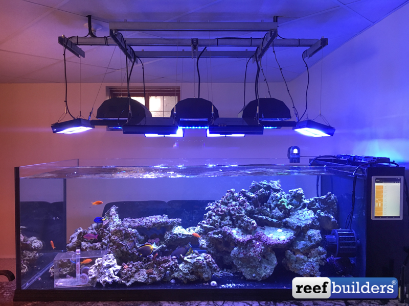 Doug's Perfectly Designed Fish Room & Stunning Custom Reef Tank, Reef  Builders