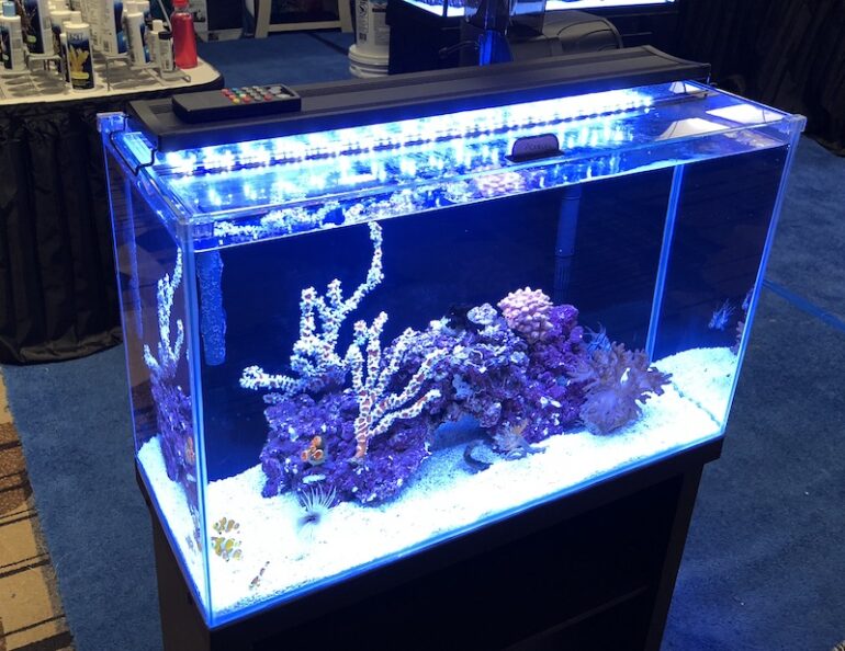 Aqueon Making New Rimless and High Clarity Version of Classic 29 Gallon, Reef Builders