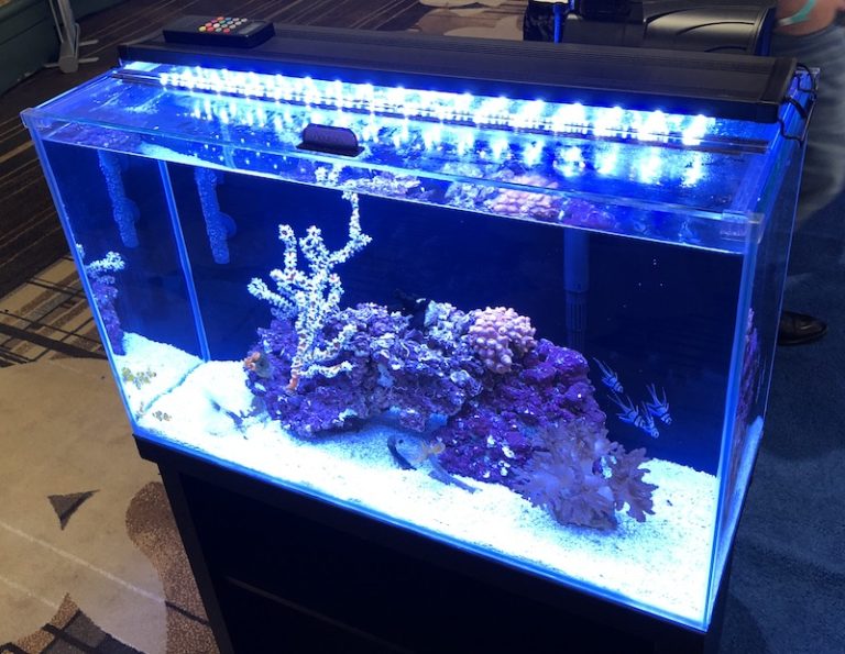 Aqueon Making New Rimless and High Clarity Version of Classic 29 Gallon ...