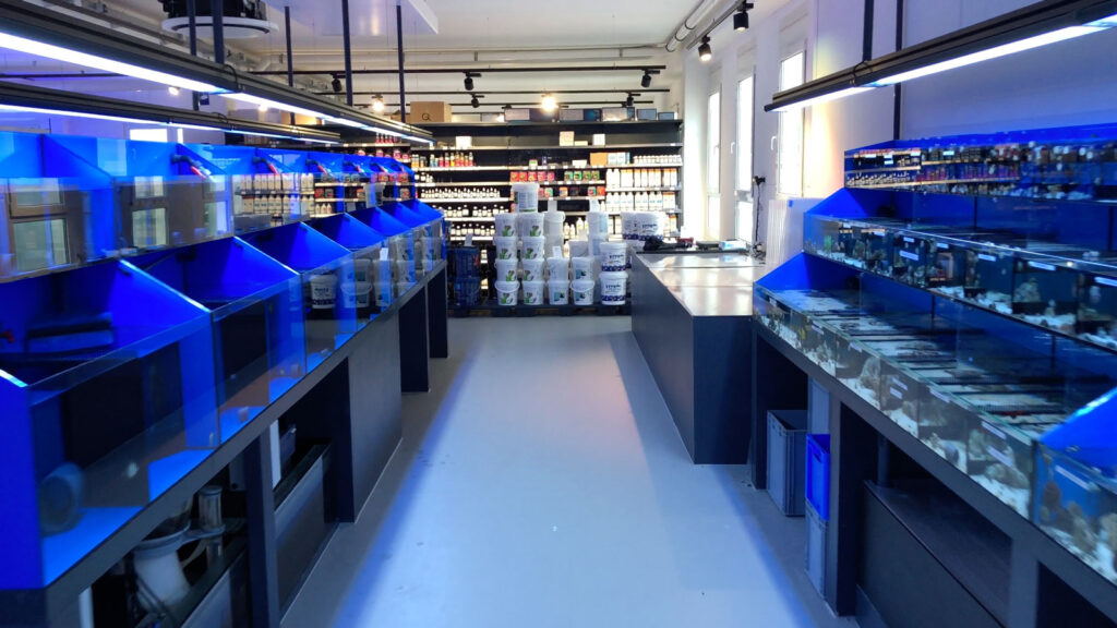 White Corals’ Showroom Should Inspire All Aquarium Stores [Video