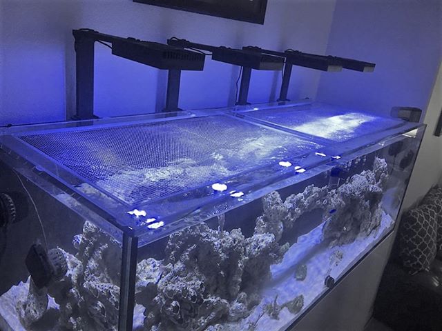 Clearview Lids Adds Semi Modular Tsunami Lids to their Catalog Reef Builders The Reef and Saltwater Aquarium Blog