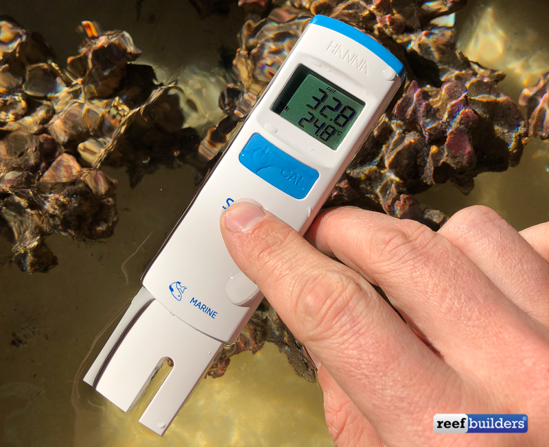 This is My Favorite New Thermometer, Reef Builders