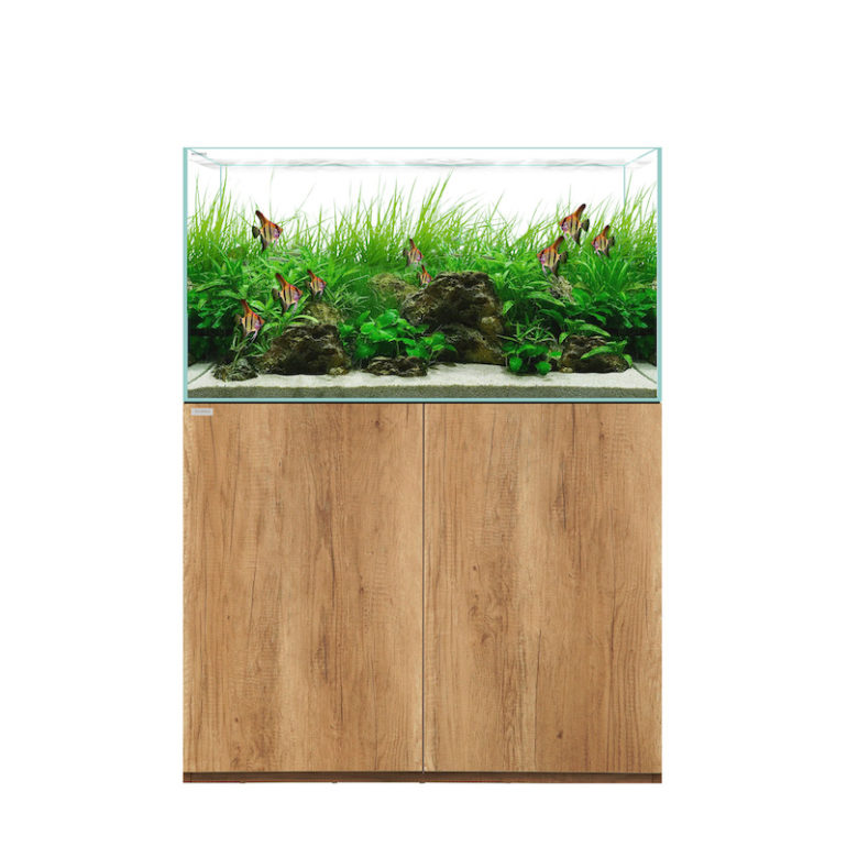 Waterbox’s New Rimless Aquariums for Freshwater & Custom Reefs Reef Builders The Reef and