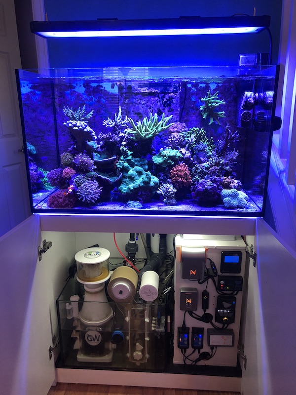 saltwater fish tank equipment